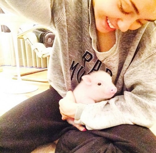 마일리 사이러스 인스타그램서