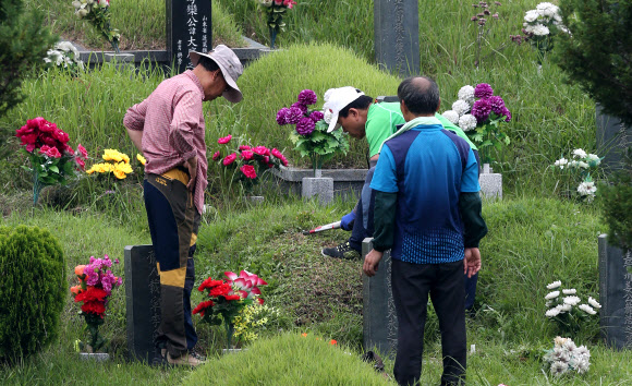 빠른 추석 벌초도 빨리