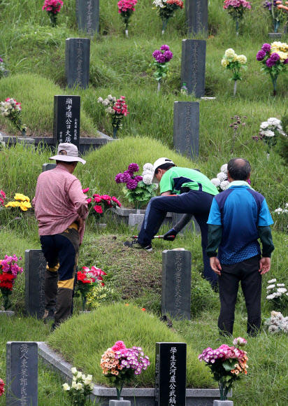 빠른 추석 벌초도 빨리