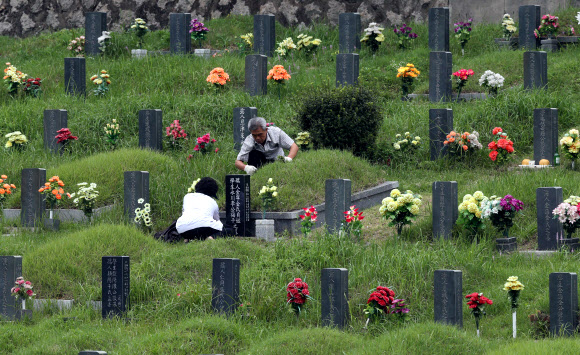빠른 추석 벌초하는 노부부