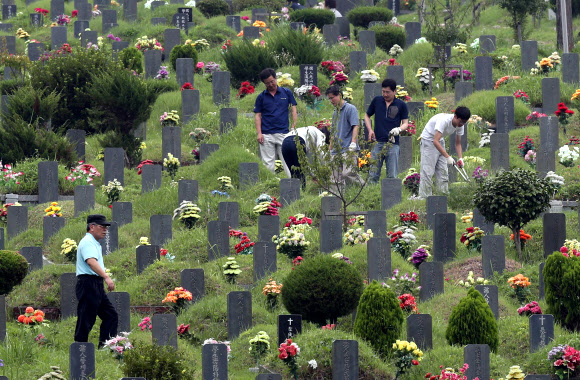 빠른 추석 벌초도 빨리