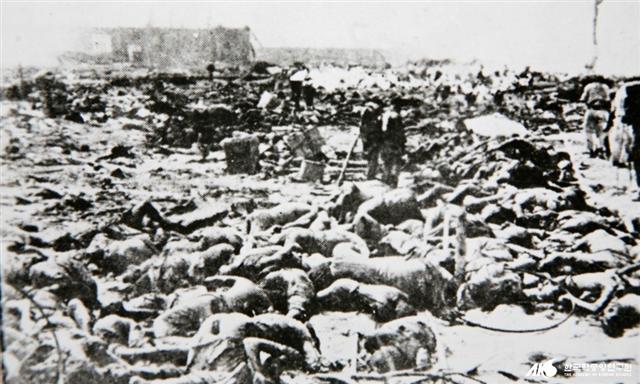 1923년 9월 발생한 관동대학살 당시 희생된 조선인들의 시체가 일본 간토 지역 가나가와현 철길 옆에 마구잡이로 버려져 있다.  서울신문 포토라이브러리