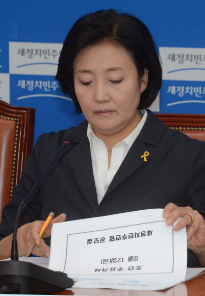 박영선 새정치민주연합 국민공감혁신위원장(비상대책위원장) 겸 원내대표