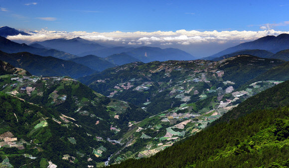 허환산 주변 산자락에 형성된 차밭. 해발 3000m 안팎의 고산지대에서 세계 최고 수준의 우롱차가 생산된다. 타이루거 국립공원과 경계를 이루는 쿤양에서 굽어본 풍경이다.