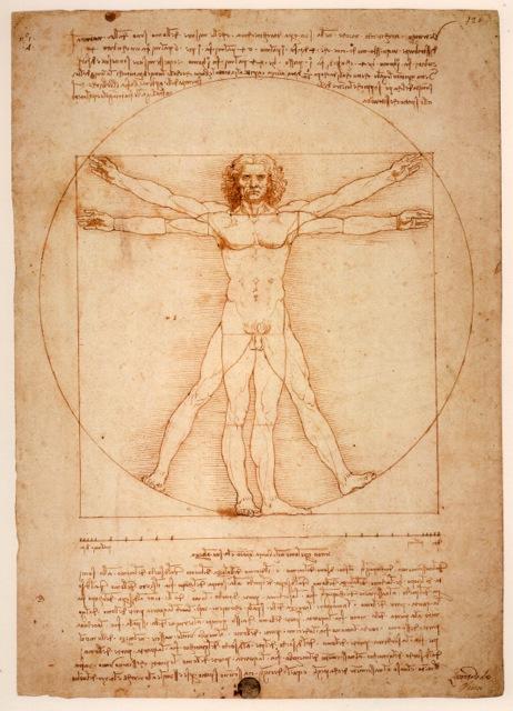 레오나르도 다빈치가 1490년쯤에 그린 비트루비우스 인간. 인체를 통해 우주를 이해할 수 있다며 비트루비우스가 적시했던 인체 비례를 따르면서 다빈치만의 비례 규칙이 추가됐다. 뿌리와 이파리 제공