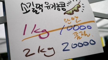 사진출처: 이효리 블로그