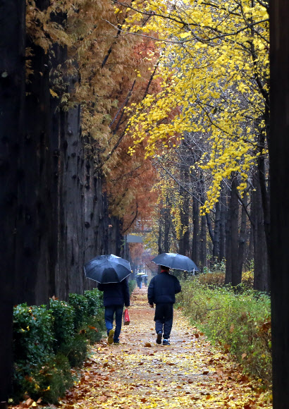 전국에 비가 내린 30일 오후 서울 강남구 양재천 인근에서 우산을 쓴 시민이 산책하고 있다. 연합뉴스