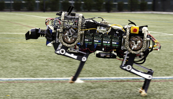 지난 10월 24일(현지시간) 로봇 ‘치타’가 미국 매사추세츠주 케임브리지의 매사추세츠공과대학(MIT) 운동장을 달리는 모습. MIT 과학자들은 지구상에서 가장 빠른 동물인 치타를 본뜬 로봇이 인공 다리를 포함해 실제 가능할 수 있을 것이라고 말한다. AP/뉴시스