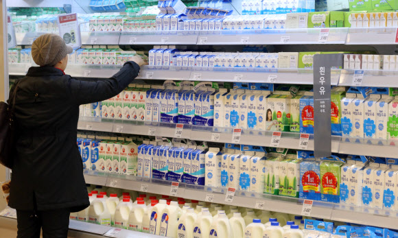 우유를 지나치게 많이 먹으면 암 등으로 사망할 확률이 높아진다는 최근 해외 연구 결과에 대해 국내 전문가들은 대체로 “국내 실정에 맞는 심층 연구가 필요하다”며 신중한 입장을 보였다. 서울 한 대형마트에서 고객이 진열된 우유를 살펴보고 있다. 연합뉴스