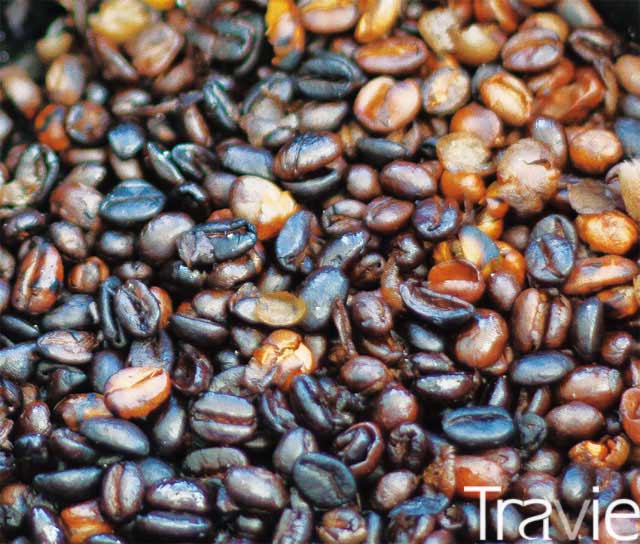 에티오피아 커피는 원두 250g 한봉지에 보통 3,000원 정도다