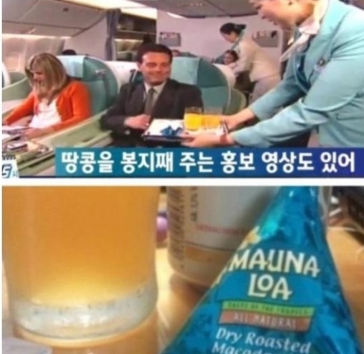 조현아 땅콩 회항