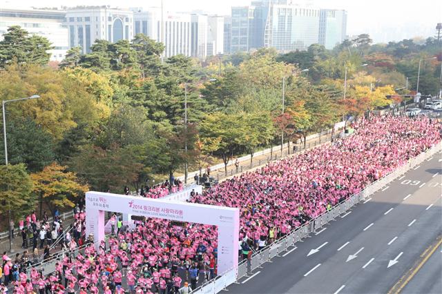 아모레퍼시픽이 주관하고 한국유방건강재단이 주최한 ‘2014 핑크리본 사랑마라톤 서울대회’가 지난 10월 19일 서울 영등포구 여의도공원에서 열린 가운데 참가자들이 출발하고 있다. 아모레퍼시픽 제공