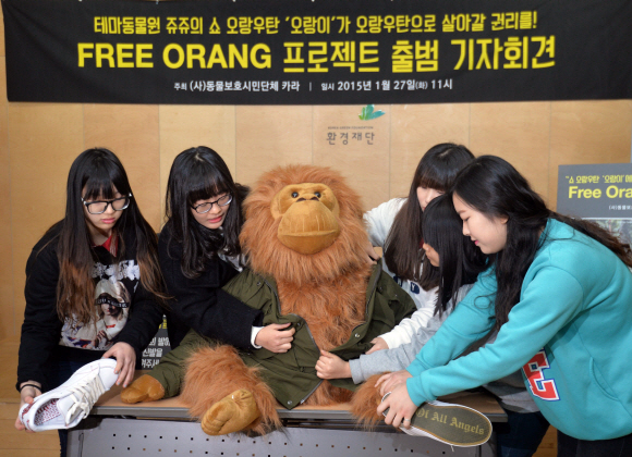 동물단체 “동물원 쇼 오랑우탄 불법 반입…몰수해야”