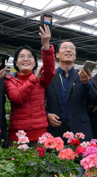 스마트 시설원예 설명회에 참가한 지자체 농업기술센터 직원들이 스마트폰을 이용한 온실 개폐 시연을 해 보고 있다. (이천 하일꽃농원)