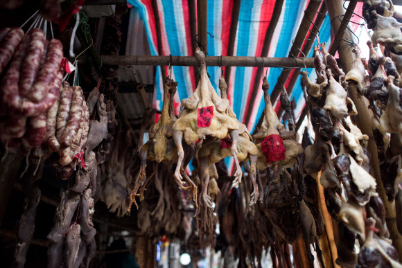 중국 최대 명절인 춘절을 3주 앞둔 3일(현지시간) 중국 상하이 시내의 한 상점에서 명절 음식으로 판매되는 닭과 오리가 깨끗하게 손질된 채 진열대에 걸려 말려지고 있다. ⓒAFPBBNews=News1