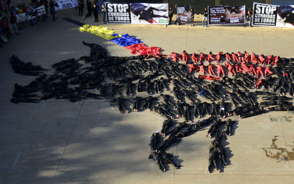 동물권리보호단체인 아니마 나투랄리스(Anima Naturalis) 회원