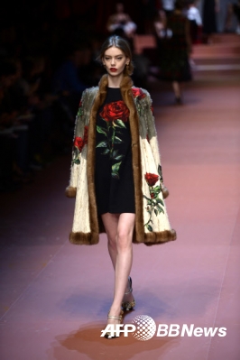 2015/16 F/W 밀라노 여성복 패션위크 5일차인 1일(현지시간) 모델 코코 로샤가 명품 브랜드 돌체&가바나의 꽃을 모티브로 한 의상을 선보이고 있다.<br>ⓒAFPBBNews=News1