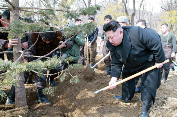 ’삽질은 이렇게’…나무심기 지도하는 북한 김정은