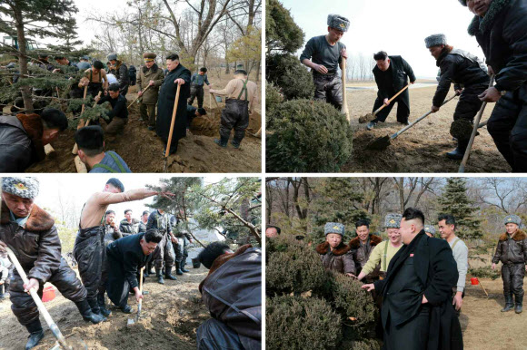 ’삽질은 이렇게’…나무심기 지도하는 북한 김정은