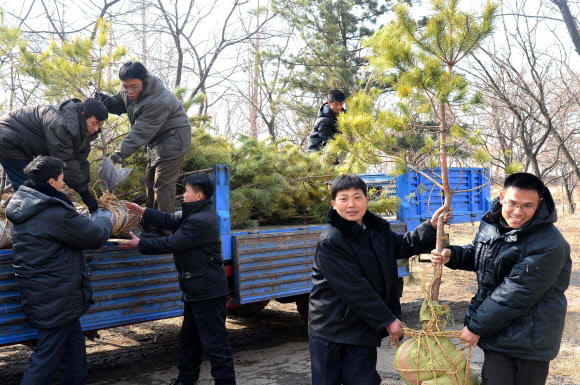 북한 조선중앙통신은 지난 2일 우리의 식목일에 해당하는 북한 ’식수절’을 맞아 전국 각지에서 봄철 나무심기가 진행됐다고 3일 보도했다.  연합뉴스