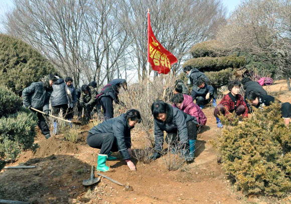 북한 조선중앙통신은 지난 2일 우리의 식목일에 해당하는 북한 ’식수절’을 맞아 전국 각지에서 봄철 나무심기가 진행됐다고 3일 보도했다.  연합뉴스