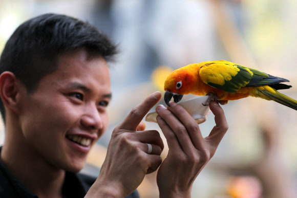 21일(현지시간) 중국 윈난성의 쿤밍 동물원에서 한 소년이 앵무새와 교감을 나누고 있다.  ⓒAFPBBNews=News1