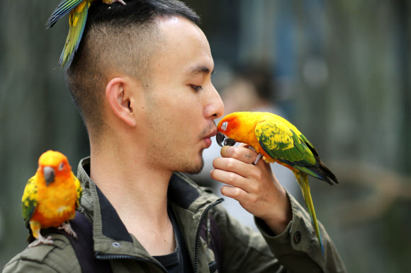 21일(현지시간) 중국 윈난성의 쿤밍 동물원에서 한 청년이 앵무새와 교감을 나누고 있다.  ⓒAFPBBNews=News1