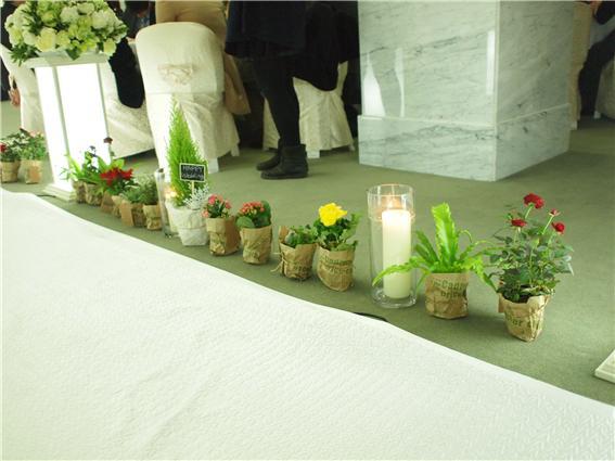 서울시민청에서 결혼하는 신혼부부 중 일부는 생화 대신 화분으로 신부가 입장하는 통로를 장식하기도 한다. 서울시 제공