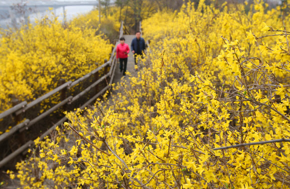 ’봄이 왔네요’