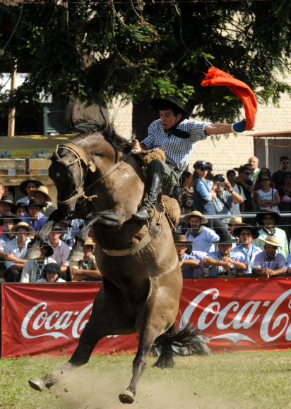 29일(현지시간) 우루과이 몬테비데오에서 크레올레 주간(부활절 바로 전 성주간)을 맞아 기수가 로데오 경기를 펼치고 있다. ⓒAFPBBNews=News1