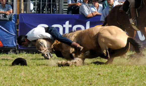 29일(현지시간) 우루과이 몬테비데오에서 크레올레 주간(부활절 바로 전 성주간)을 맞아 기수가 로데오 경기를 펼치고 있다. ⓒAFPBBNews=News1
