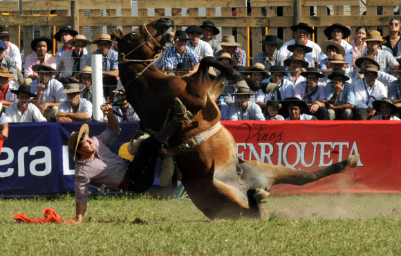 29일(현지시간) 우루과이 몬테비데오에서 크레올레 주간(부활절 바로 전 성주간)을 맞아 기수가 로데오 경기를 펼치고 있다. ⓒAFPBBNews=News1
