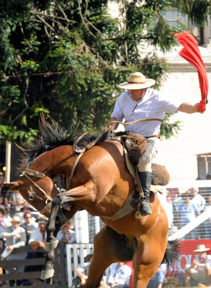 29일(현지시간) 우루과이 몬테비데오에서 크레올레 주간(부활절 바로 전 성주간)을 맞아 기수가 로데오 경기를 펼치고 있다. ⓒAFPBBNews=News1