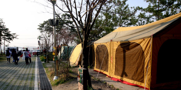 청주 문암야영장 물 흐리는 ’유령텐트족’