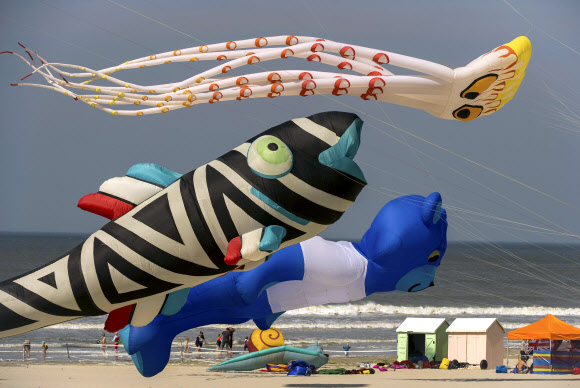 [포토] 각양각색 알록달록 대형 연…베르크 국제 연날리기 축제