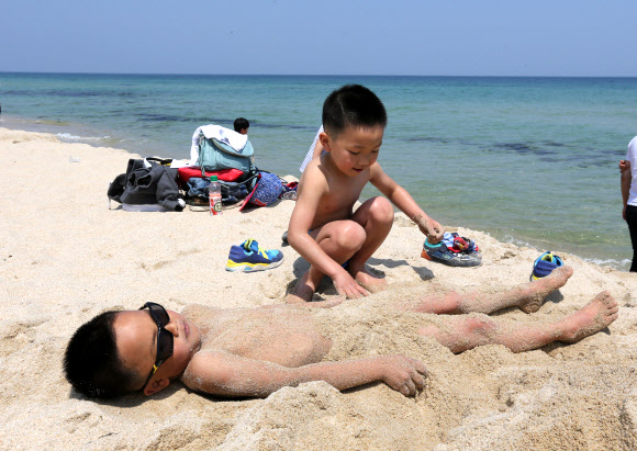 경포는 초여름…모래찜질하는 아이들