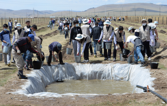 26일(현지시각) 대한항공 신입사원 및 임직원, 몽골 주민들이 몽골 올란바토르 바가노르 사막지역에서 버드나무, 포플러 나무 등 나무심기 봉사활동을 펼치고 있다. 지구를 푸르게 가꾸는 사회공헌 활동 ’글로벌 플랜팅 프로젝트’의 일환으로 몽골사막에서 12년째 계속되고 있는 대한항공 숲 조성사업은 올해 1만여 그루를 심어, 총 44ha 면적에 9만여 그루의 나무들이 자라는 숲으로 조성된다. 이번 봉사활동은 대한항공 신입직원 등 임직원 170여명과 현지주민 등 총 600여명이 참여했다. 2015. 05. 27 바가노르 박지환 popocar@seoul.co.kr