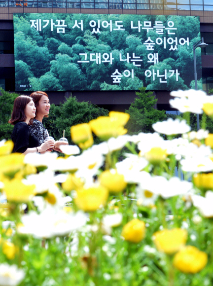 1일 공개된 교보생명 ‘광화문글판’ 여름편. 이번 여름편은 정희성 시인의 ‘숲’에서 발췌했으며 서로의 개성을 존중하고 배려하는 나무로부터 공존의 지혜를 배우자는 메시지를 담았다고 교보생명은 밝혔다. 2015.6.1 박지환 popocar@seoul.co.kr