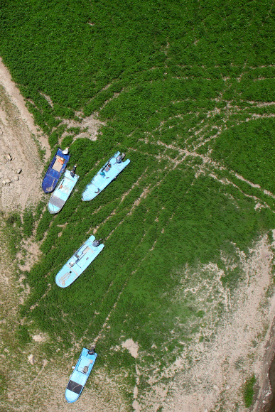 잡초가 뒤 덮은 소양강