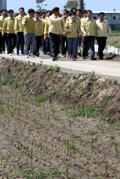 박 대통령, 가뭄 피해지역 방문
