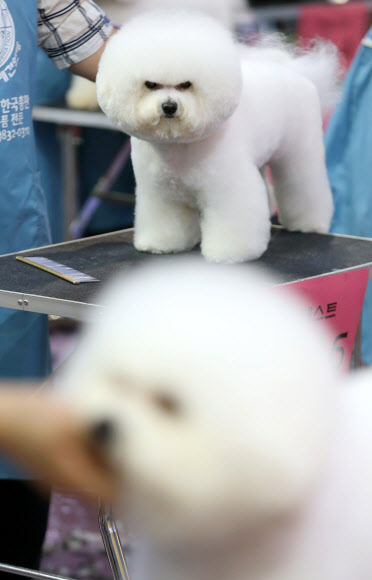 ’나랑 헤어스타일이 똑같군’