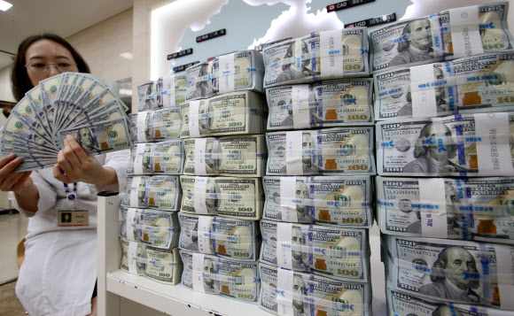 우리나라의 외환보유액이 한 달 새 30억달러 넘게 늘어나며 석 달째 사상 최고 행진을 이어갔다. 3일 한국은행에 따르면 6월 말 현재 외환보유액은 3천747억5천만달러로 5월 말보다 32억4천만달러 증가했다. 한국은행은 외환보유액 증가가 유로화 등 미국 달러 이외 통화의 강세로 보유 외화자산의 달러 환산액이 증가한 데다 자산 운용수익도 늘어난 데 따른 것이라고 설명했다. 사진은 이날 서울 중구 을지로 외환은행 본점 위변조대응센터에서 직원이 달러화를 정리하는 모습.  연합뉴스