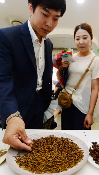 14일 경기 과천 경마공원 럭키빌에서 열린 ’2015 창조농생명과학대전’ 에서 시민들이 곤충을 시식하고 있다. 박윤슬 기자 seul@seoul.co.kr