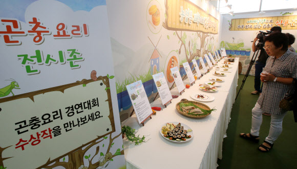 곤충요리 눈길 가네