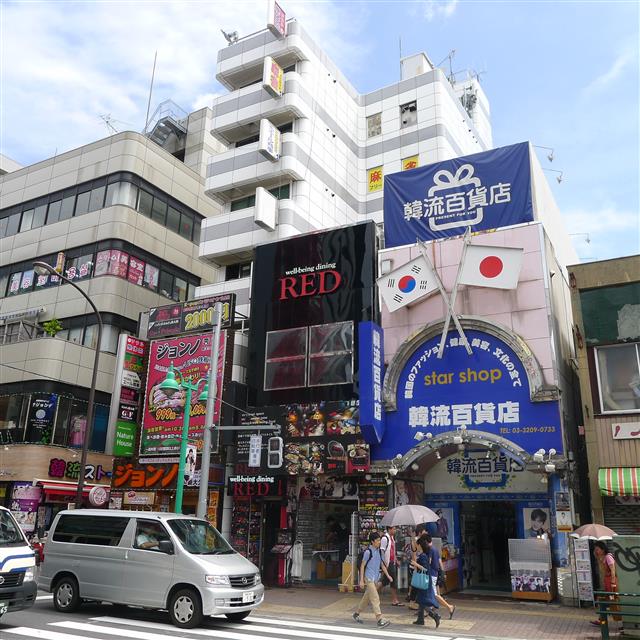 일본에서 한류 붐이 사라졌다고 하지만 한류는 한국 문화의 하나로 자리매김했다. 한류 상점들은 전성기 때보다 20%가량 줄었다. 도쿄 신오쿠보거리에서 한국 화장품과 드라마, 음식 등을 판매하는 백화점을 찾는 일본 젊은이들의 발길이 이어지고 있다. 