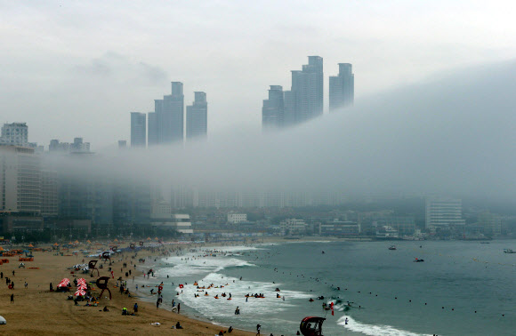 해무가 가른 해운대와 고층빌딩