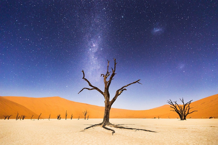 내셔널 지오그래픽 여행사진 공모 대상 수상작 ‘데드블라이 사막의 밤’(나미비아). 밝은 달빛에 모래가 반사되어 사막이 대낮같이 밝다. 작가= 베드 멕칼리