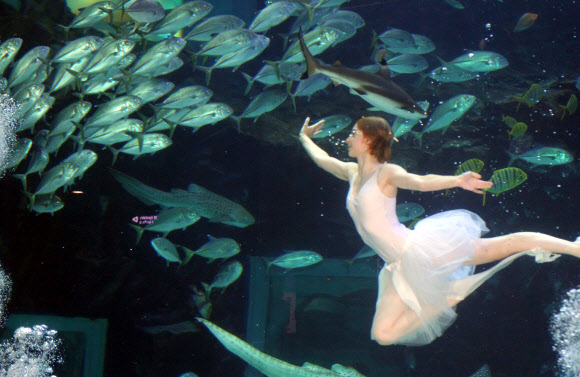 한마리 백조가 되어