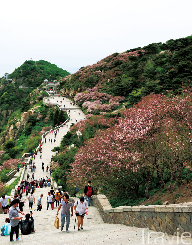 타이안太安시에 우뚝 솟은 타이산太山 티엔지에天街에서 내려다 본 풍경