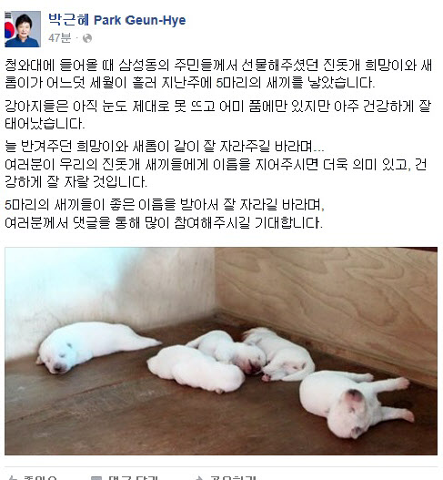 박 대통령 ”진돗개 희망이·새롬이, 새끼낳아”…페이스북에 글